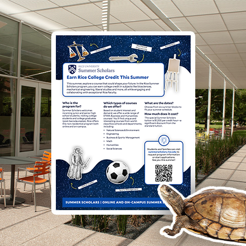 Summer Scholars Flyer